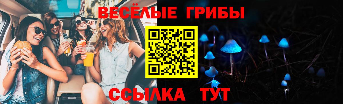дарнет шоп  Вход с VPN  Коммунар  Псилоцибиновые грибы GOLDEN TEACHER 